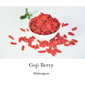 certified organic frozen goji berry